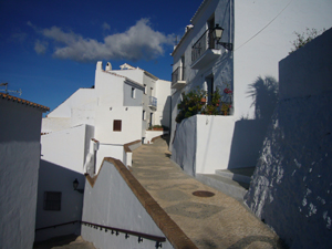 img20071107_1.jpg