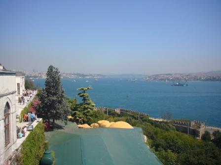 img20081113_1.jpg
