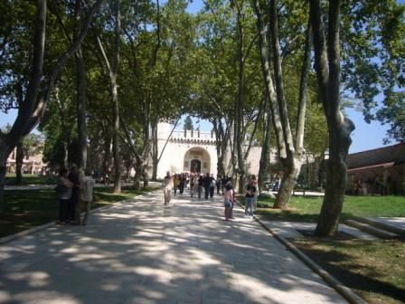 img20081113.jpg