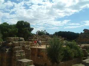 img20060216_1.jpg