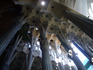 img20061109.jpg