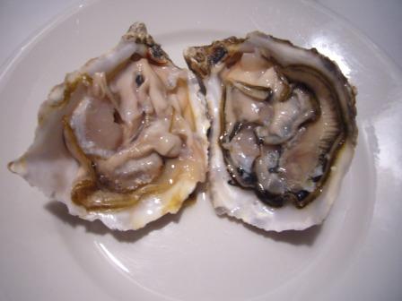 img20090930_1.jpg