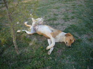 img20071211.jpg