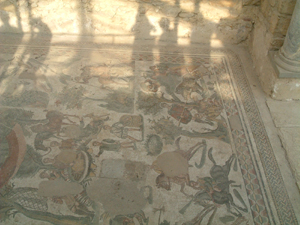 img20060317.jpg