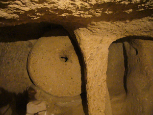 img20080225_1.jpg