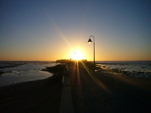 img20070822.jpg