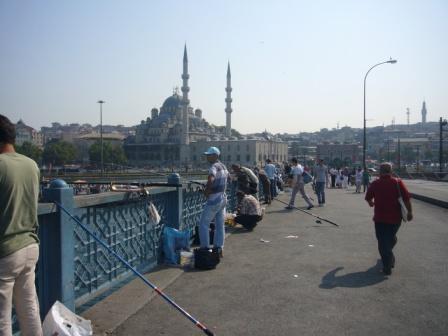 img20081123.jpg