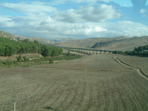 img20060105.jpg