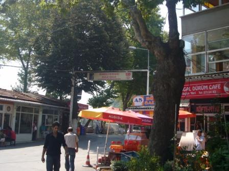 img20081230_1.jpg