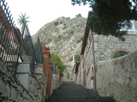 img20051029_4.jpg