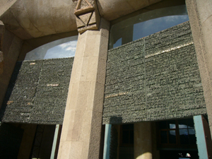 img20061109_2.jpg