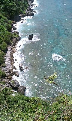 img20060606_3.jpg