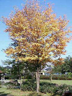 051102_0930%7E0001.jpg