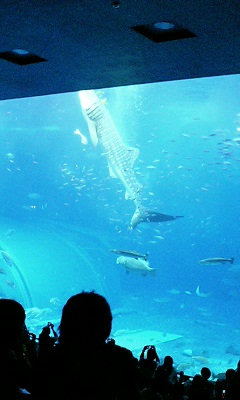 img20060606_5.jpg