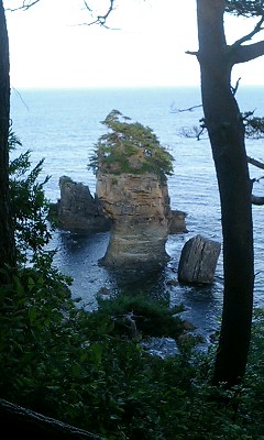 img20060827_2.jpg