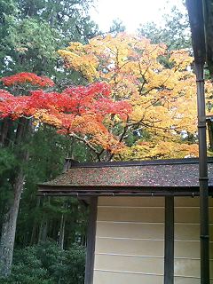 051103_1408%7E0001.jpg