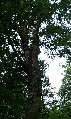 img20060901_1.jpg