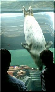 070501-02.jpg