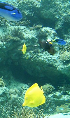img20060606_3.jpg