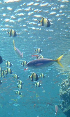 img20060606_4.jpg
