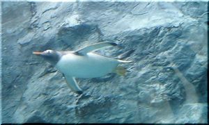 img20070507_3.jpg