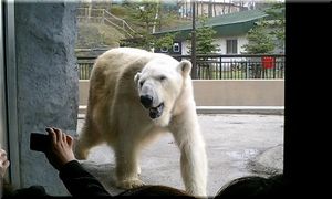 070501-03.jpg