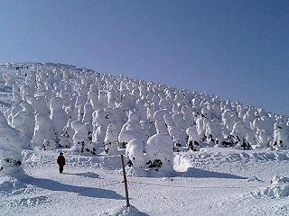 img20060227.jpg