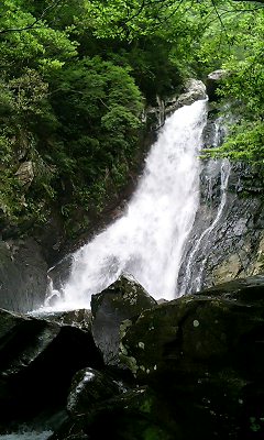 img20060606_2.jpg