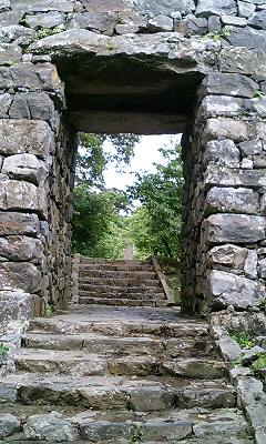 img20060606_8.jpg