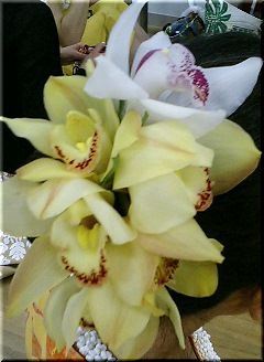 img20061030_1.jpg