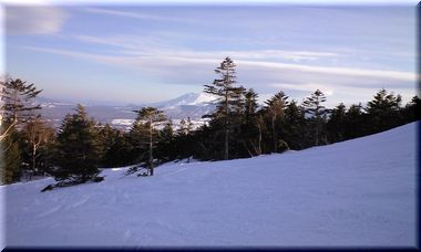 ca390477.jpg