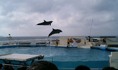 img20060606_7.jpg