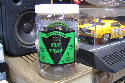 fly.jpg