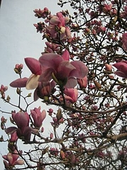 3-20-1