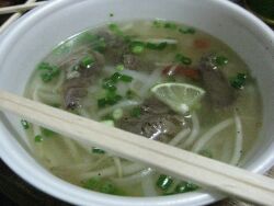 food5.jpg