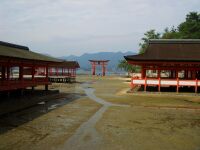 10-4-miyajima2.jpg