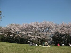 4-17-4