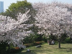 4-17-5