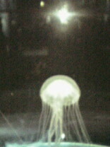 041005_1632%7E01.jpg