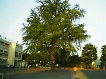 img20060505.jpg
