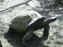 img20060412.jpg