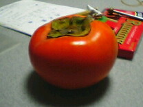 051127_0213%7E01.jpg