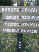 SA3A0137.jpg