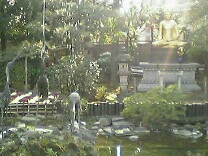 img20060331.jpg