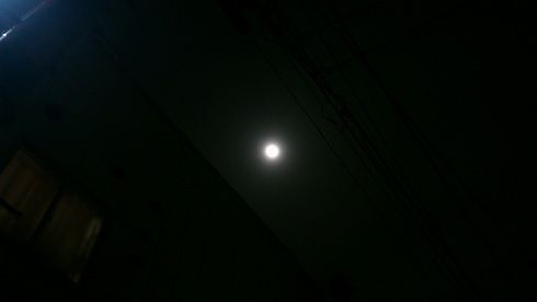 DSC_0229