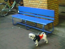 img20060209.jpg
