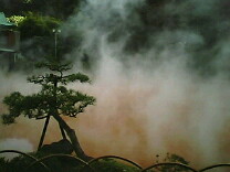 img20070224_1.jpg