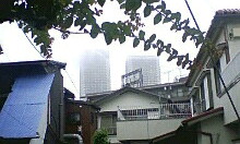 img20080629.jpg