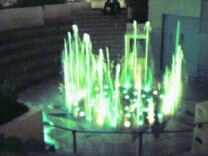 img20060202.jpg