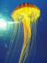 img20050323.jpg